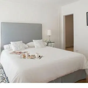 The Golden Tree Apartment